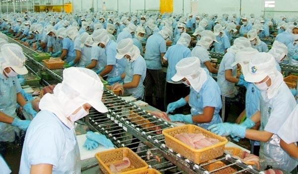 Vietnam has 23 tra fish processing plants eligible to export to the US (Photo: SGGP)